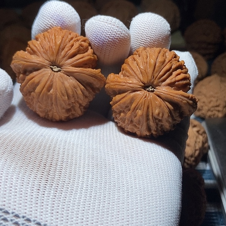 龙***哥吊坠文玩核桃蛟龙头货