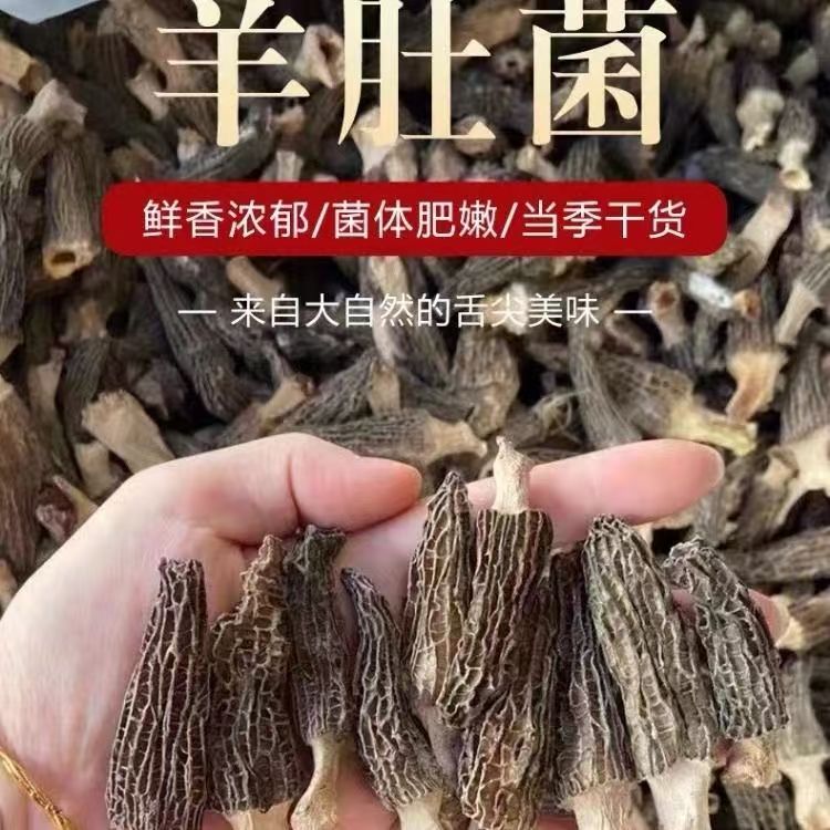 干货羊肚菌3-5新货煲汤农家无熏硫特产炖汤炒菜食材