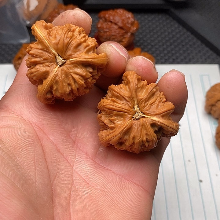 ****哥核桃把件拼接白狮子9