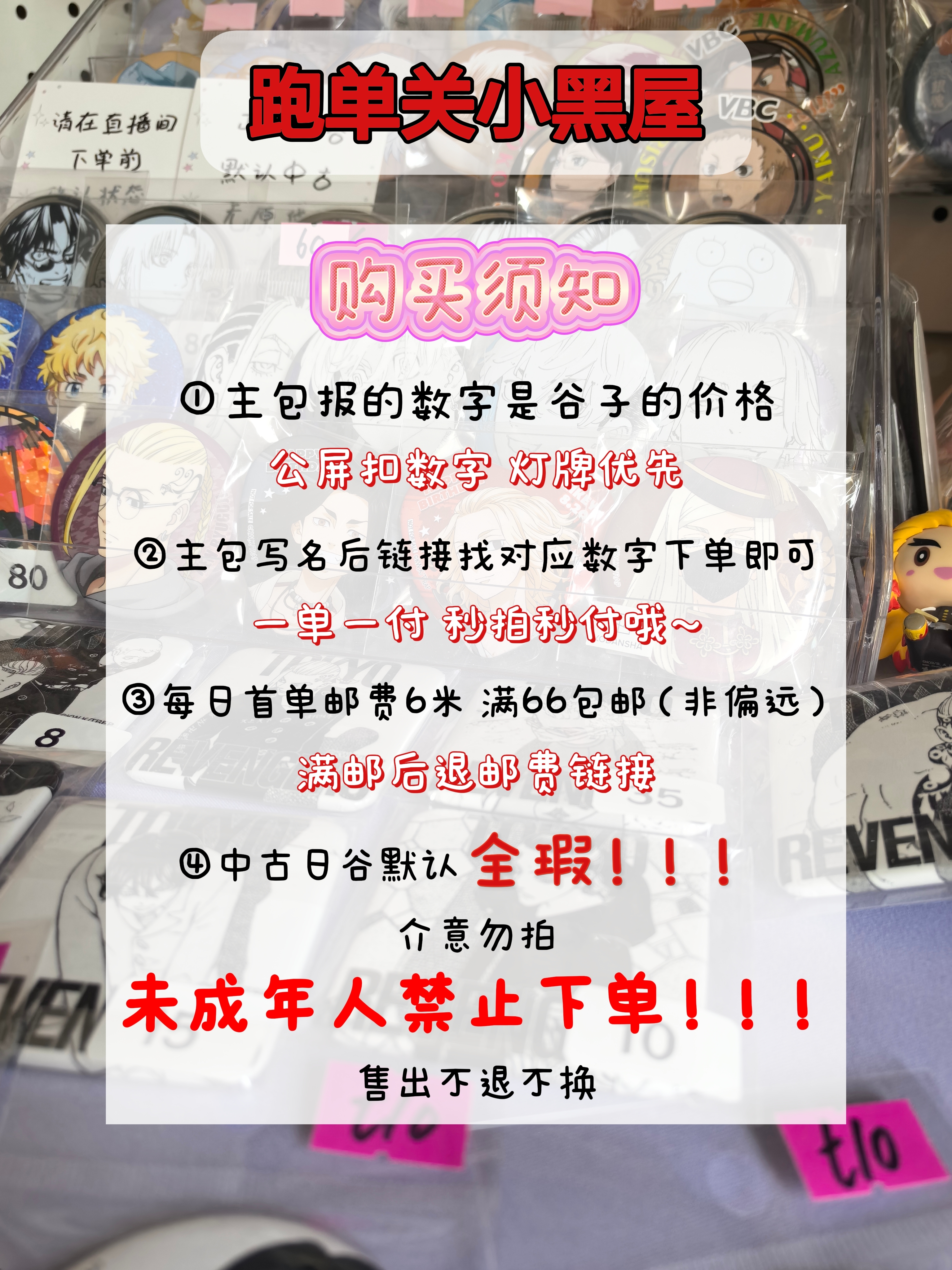 【圈圈圆圆日谷】正版日谷中古商品默认全瑕吧唧毛绒纸片谷立牌挂件