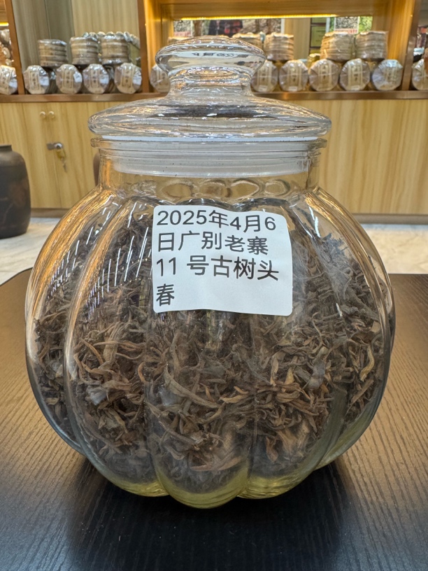 2025年广别老寨11号 古树头春 饼茶100克饼
