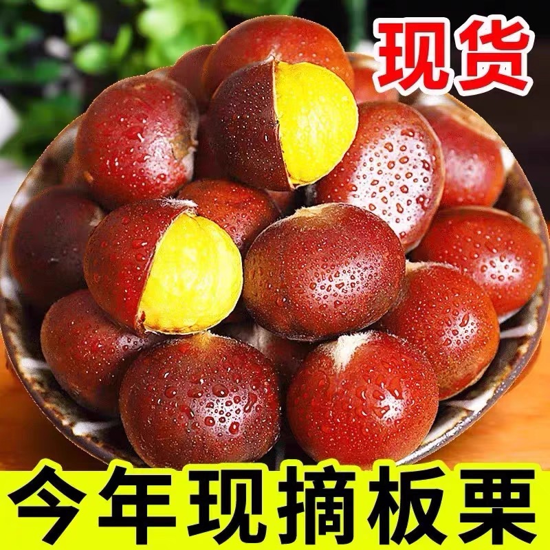 买3斤送2斤丹东新鲜现摘老树板栗生栗子非锥栗   不是开口 难剥皮