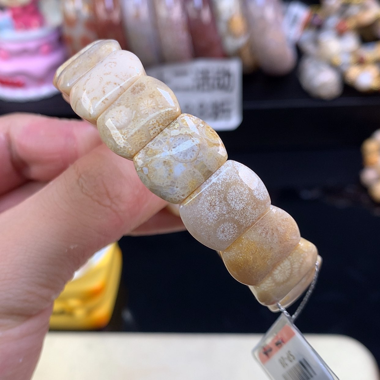 【闪购商品】颈饰未镶嵌硅化珊瑚（珊瑚玉）1号福利手牌