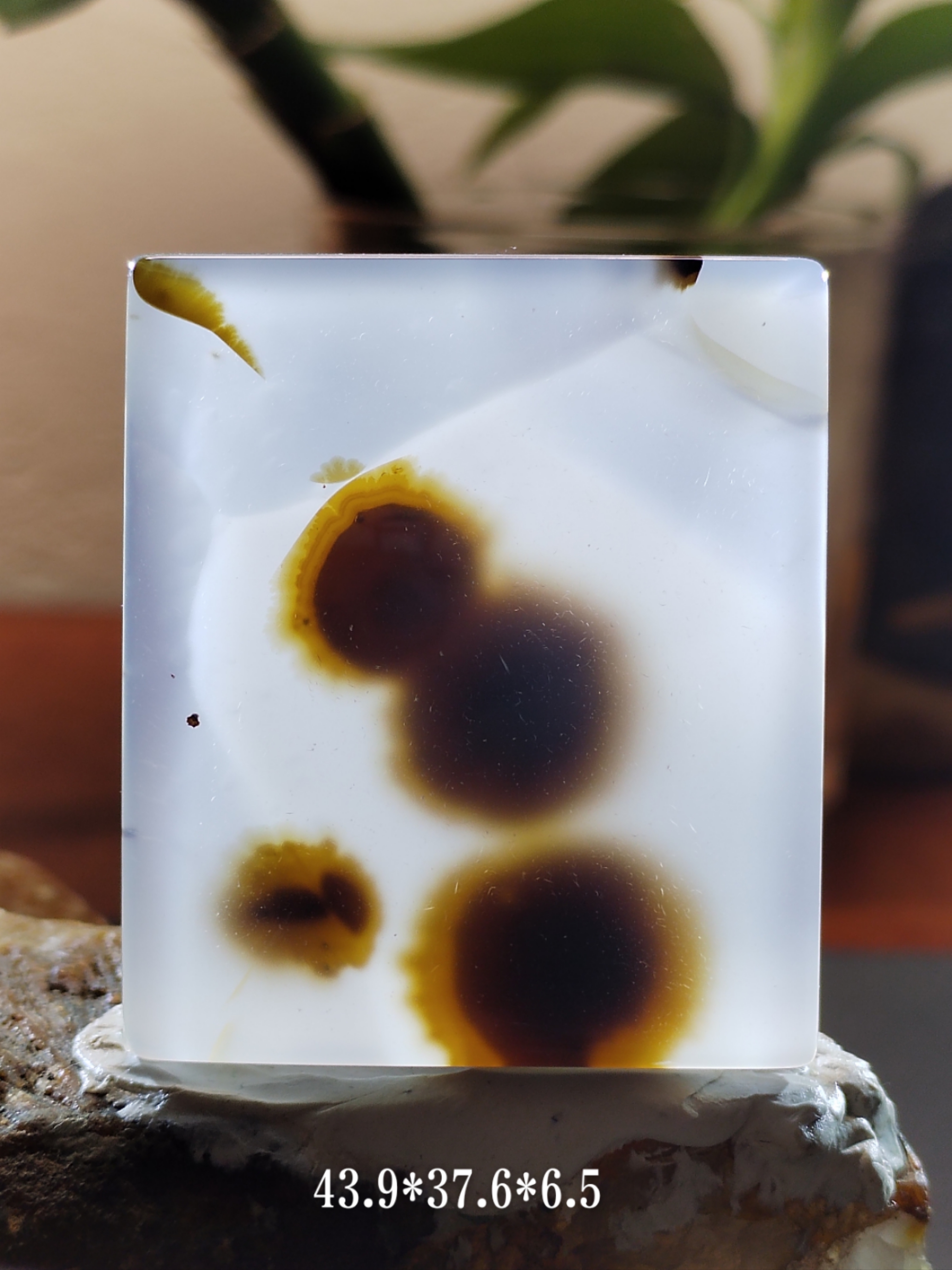 天然海洋玉髓像形吊坠上新货