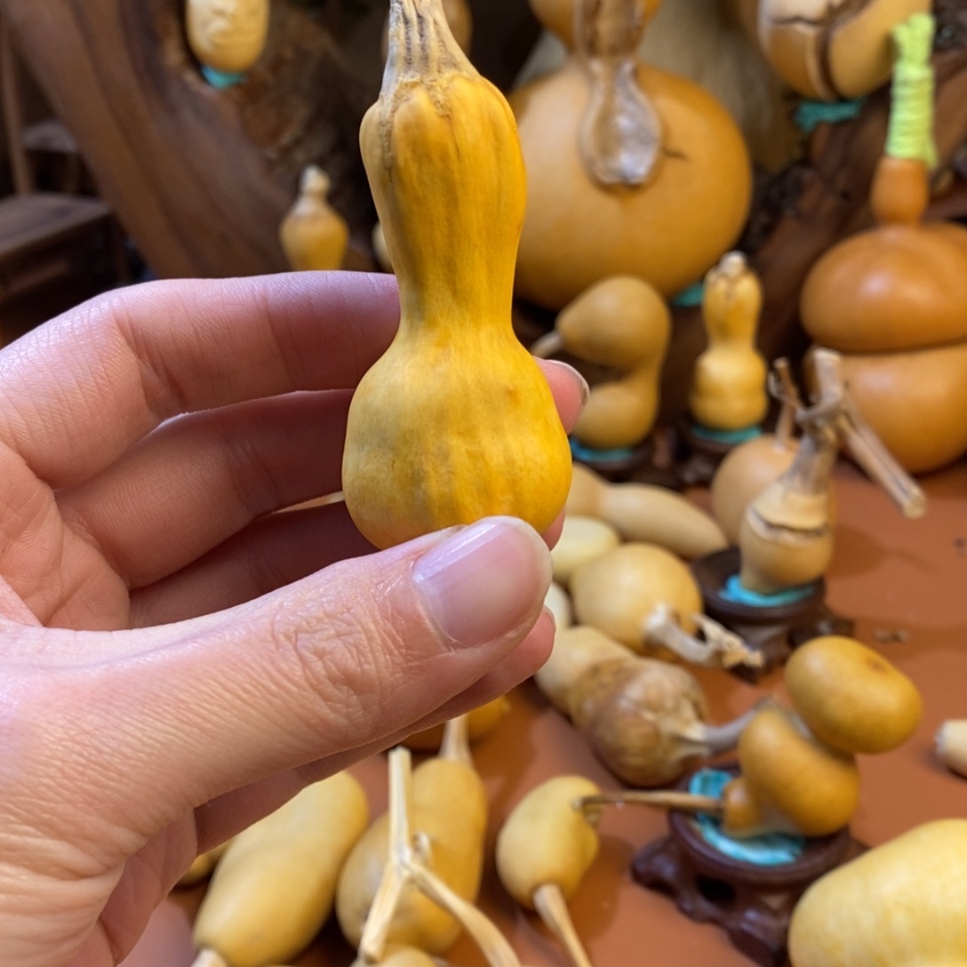 大***呦教练教练教练教练教练