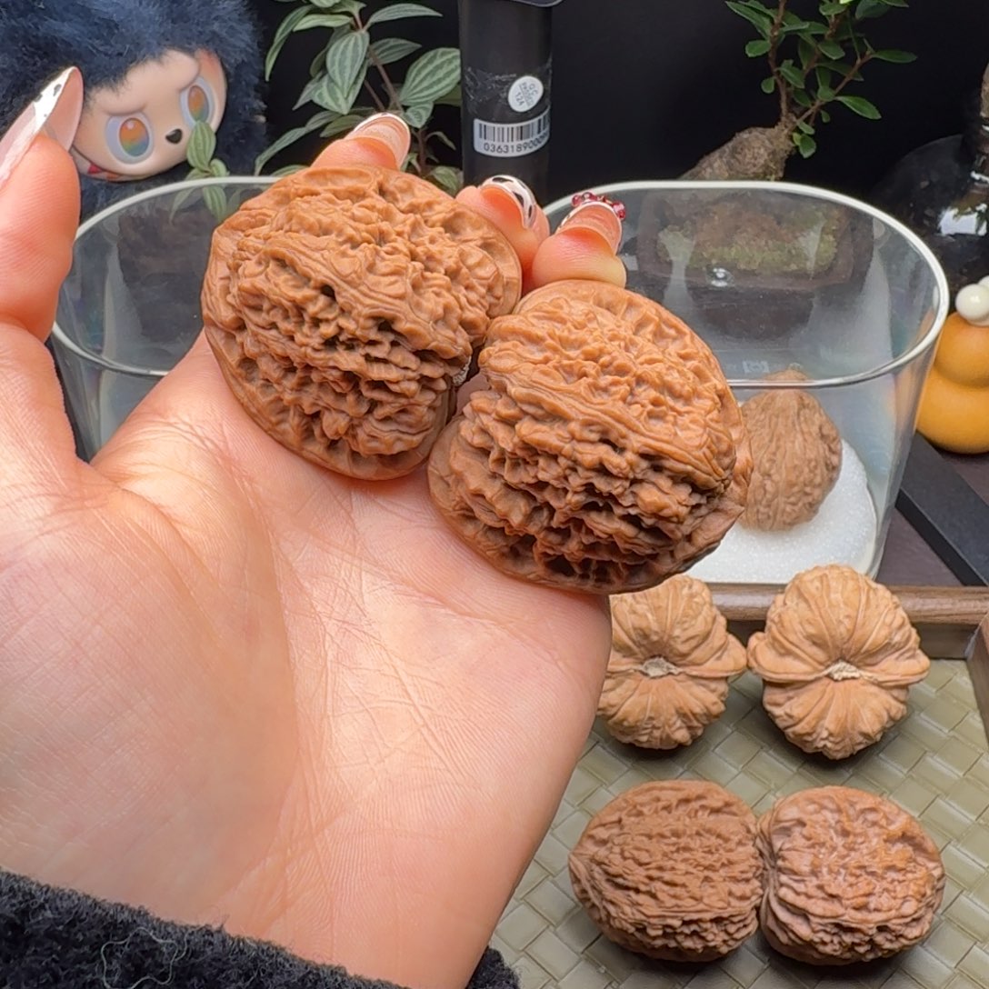 核桃全品三角疆43