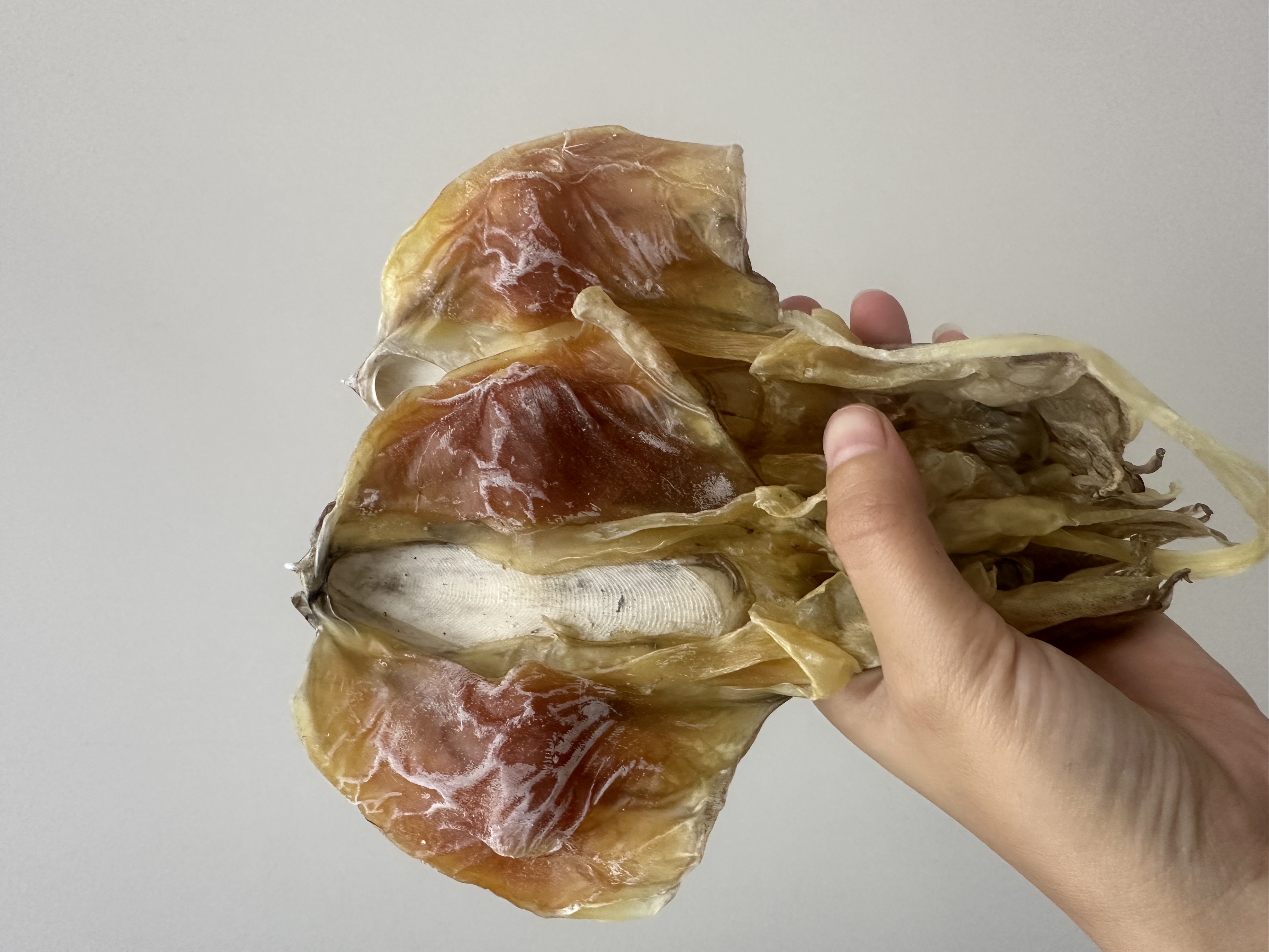 湛江血墨鱼干  船晒谈晒   小孩  孕妈妈  煲汤煲粥好食材