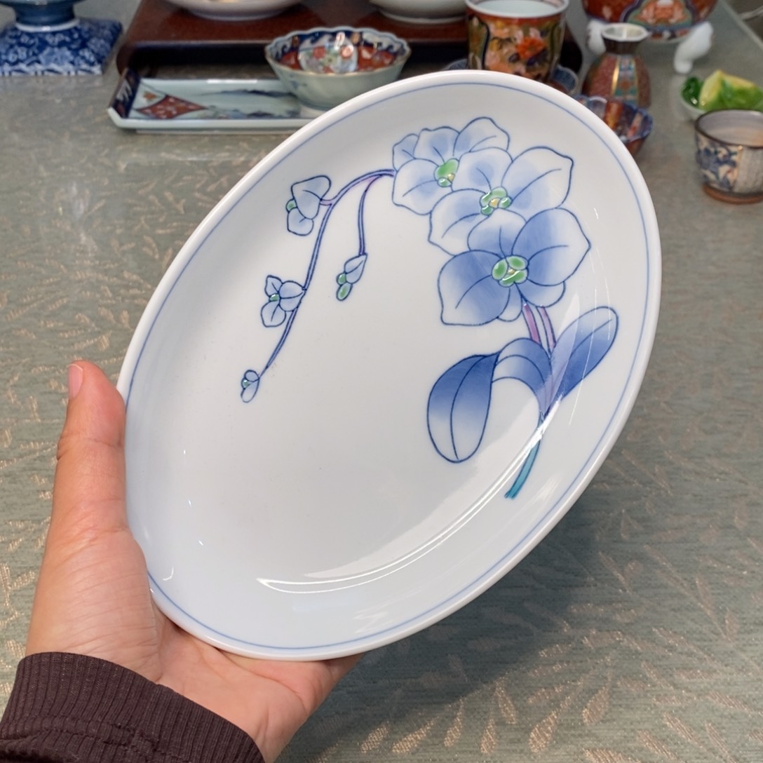 碟19✖️13 厘米 小杨瓷器陶瓷陶瓷