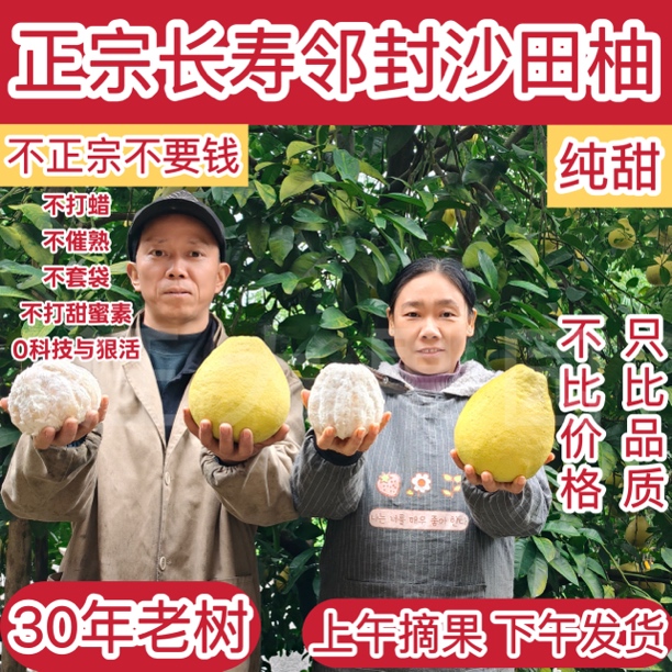 【小箱礼盒装】正宗长寿邻封沙田柚30年老树纯甜无酸自家果园现摘