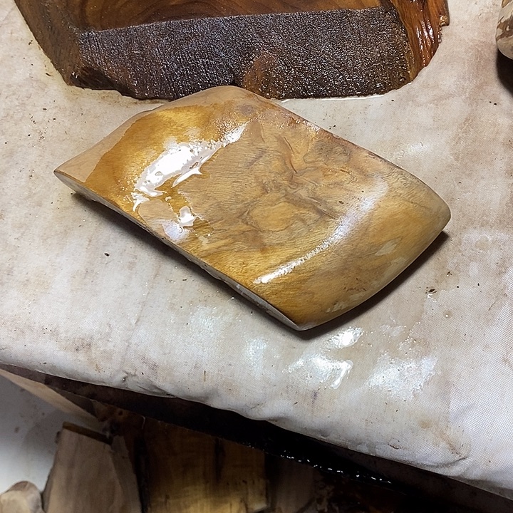 金丝楠木小叶桢楠木