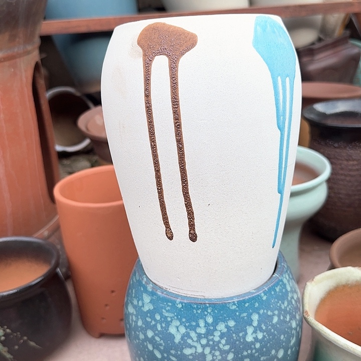 微瑕花盆啦啦来啦