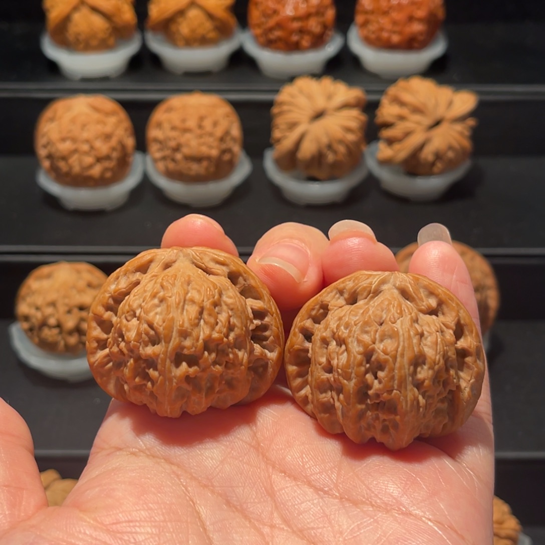 全品，精品，39白狮子180