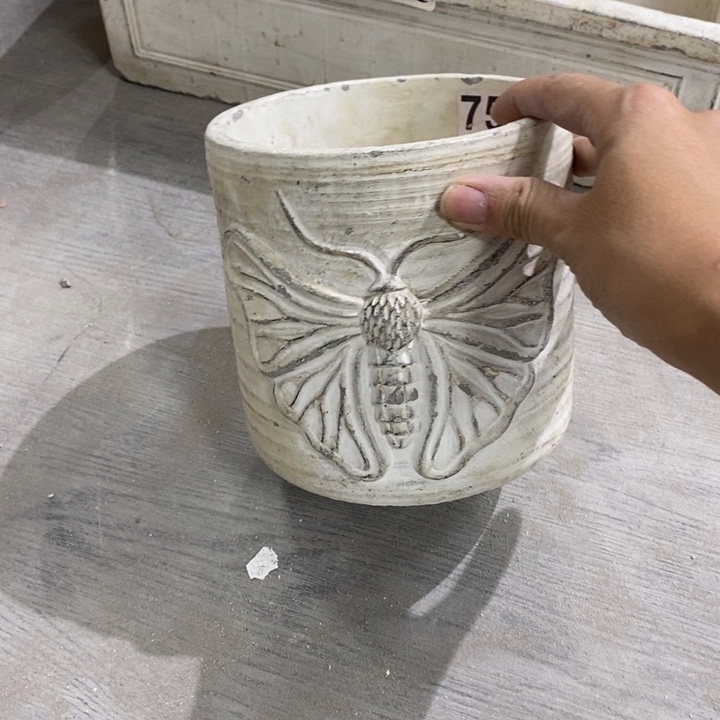 花盆894 449499494949