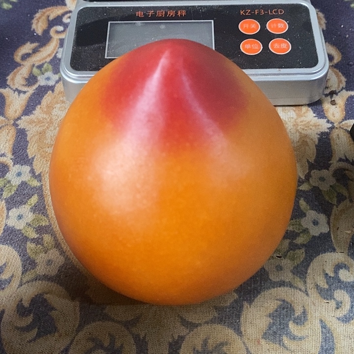 瓷片人过留名 雁过留声