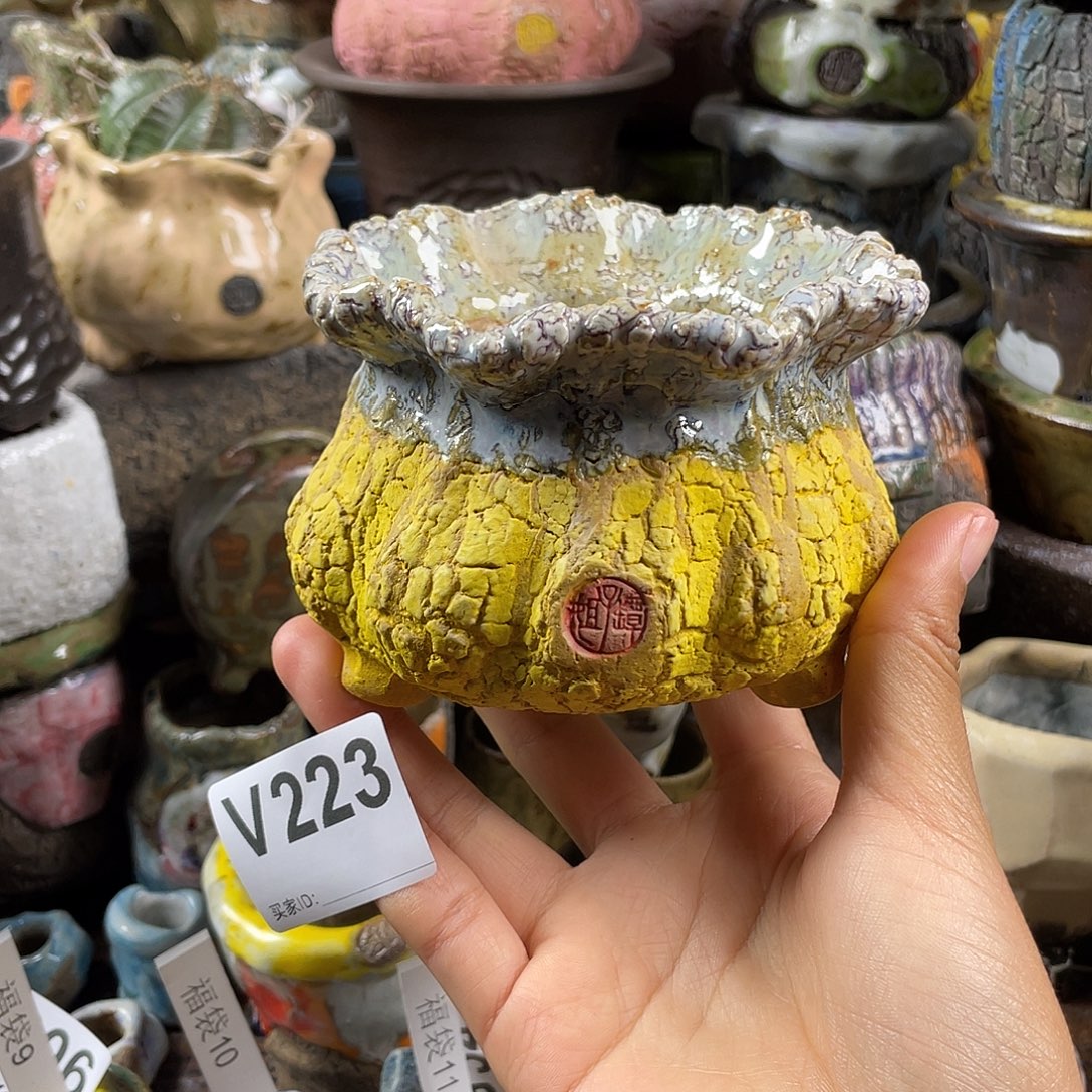 默认微次  限时福利 坛子姐花盆