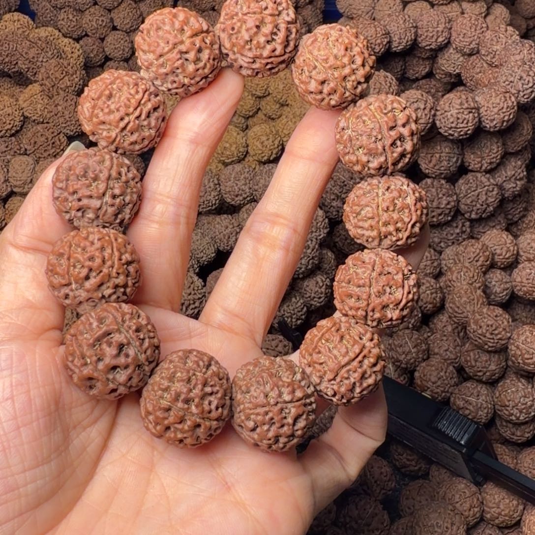 手串金刚菩提7瓣卡22尺，19号