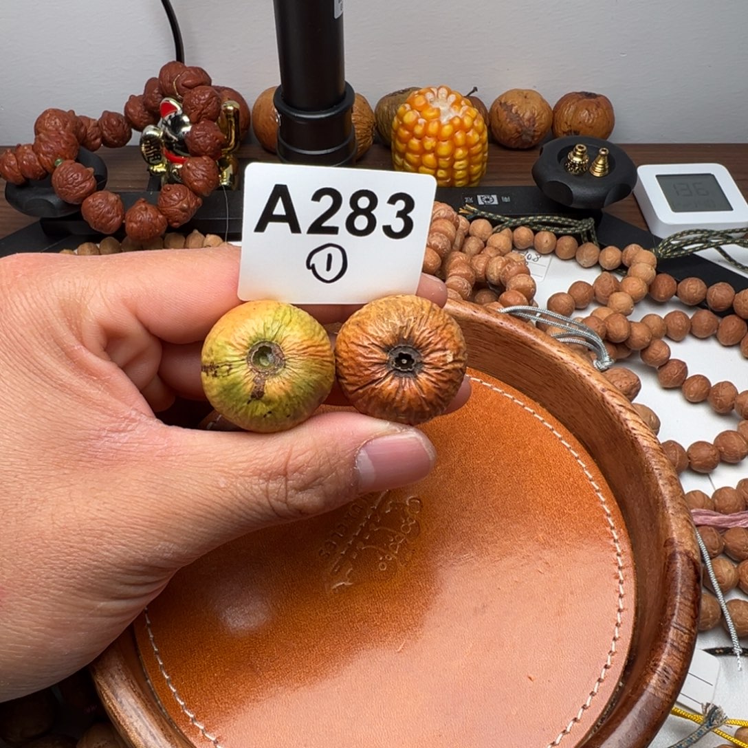 手串凤眼菩提多星青皮