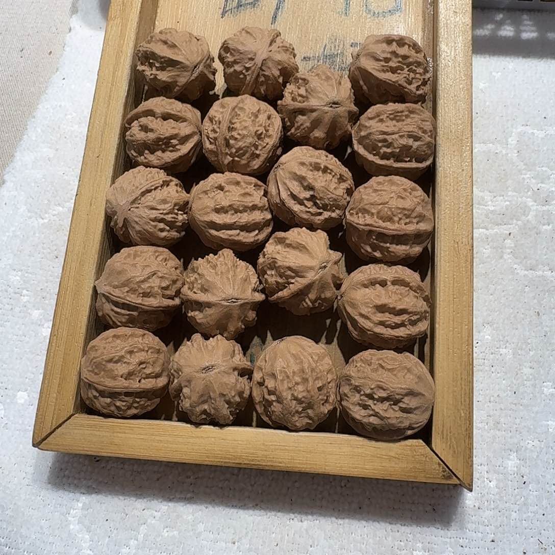 核桃手串/手链63号边23肚25高24