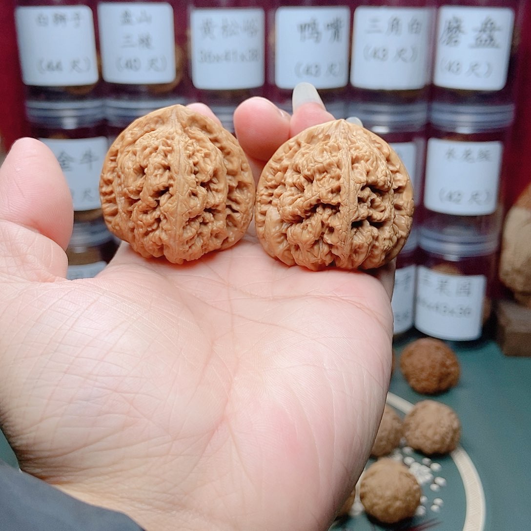 文玩核桃把件粗筋45