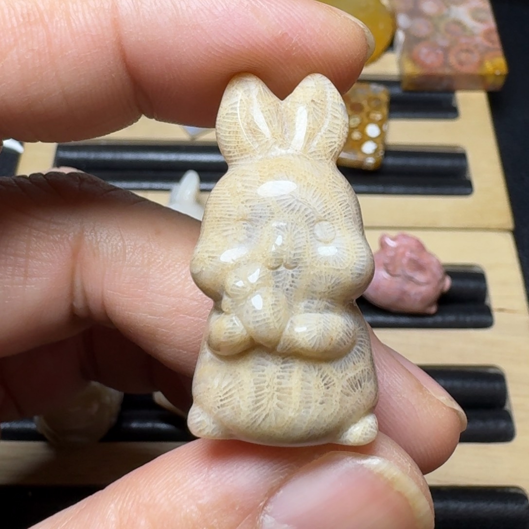 硅化珊瑚（珊瑚玉）纯天然色有机玉石未镶嵌