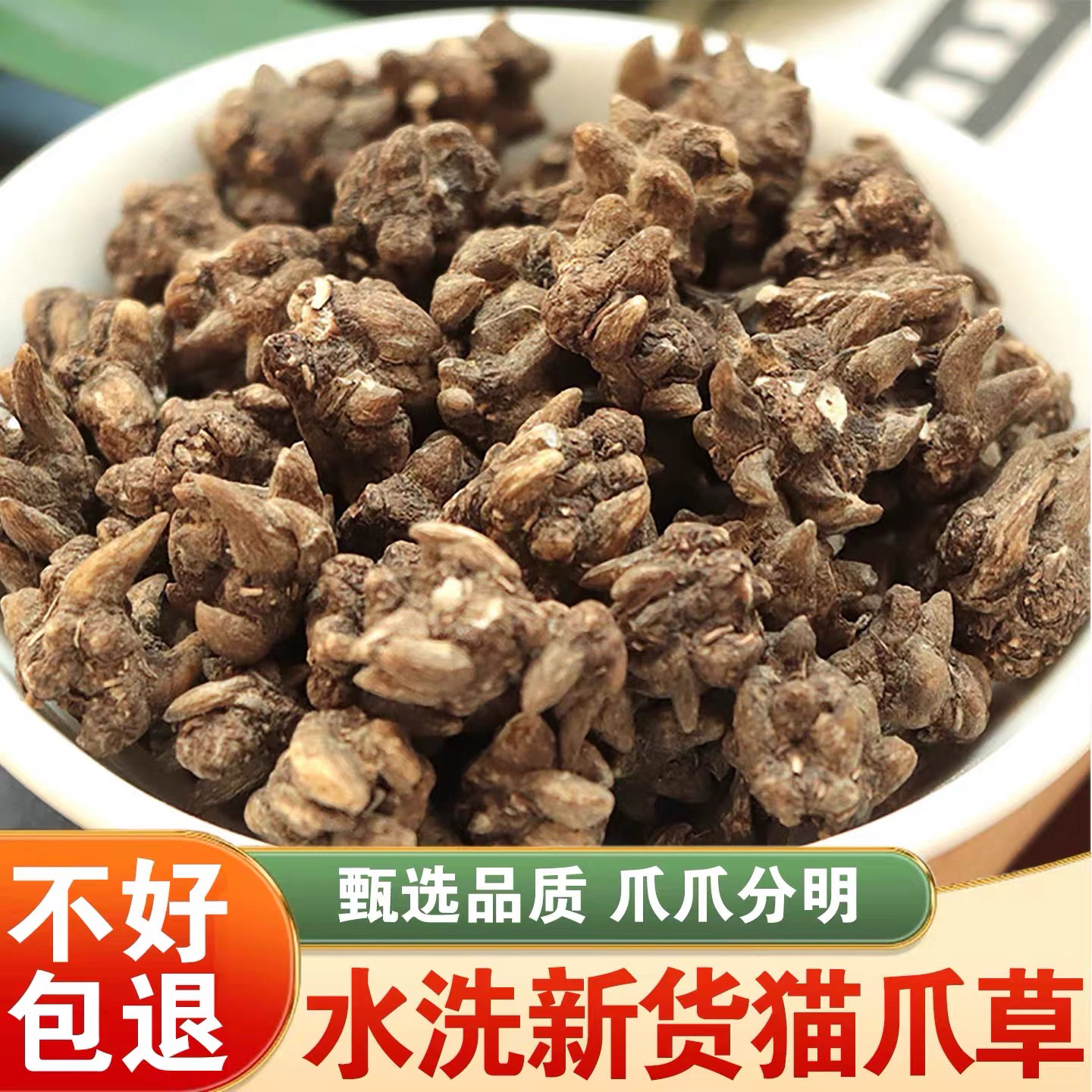 野生猫抓草 可搭枸杞煲汤煮水