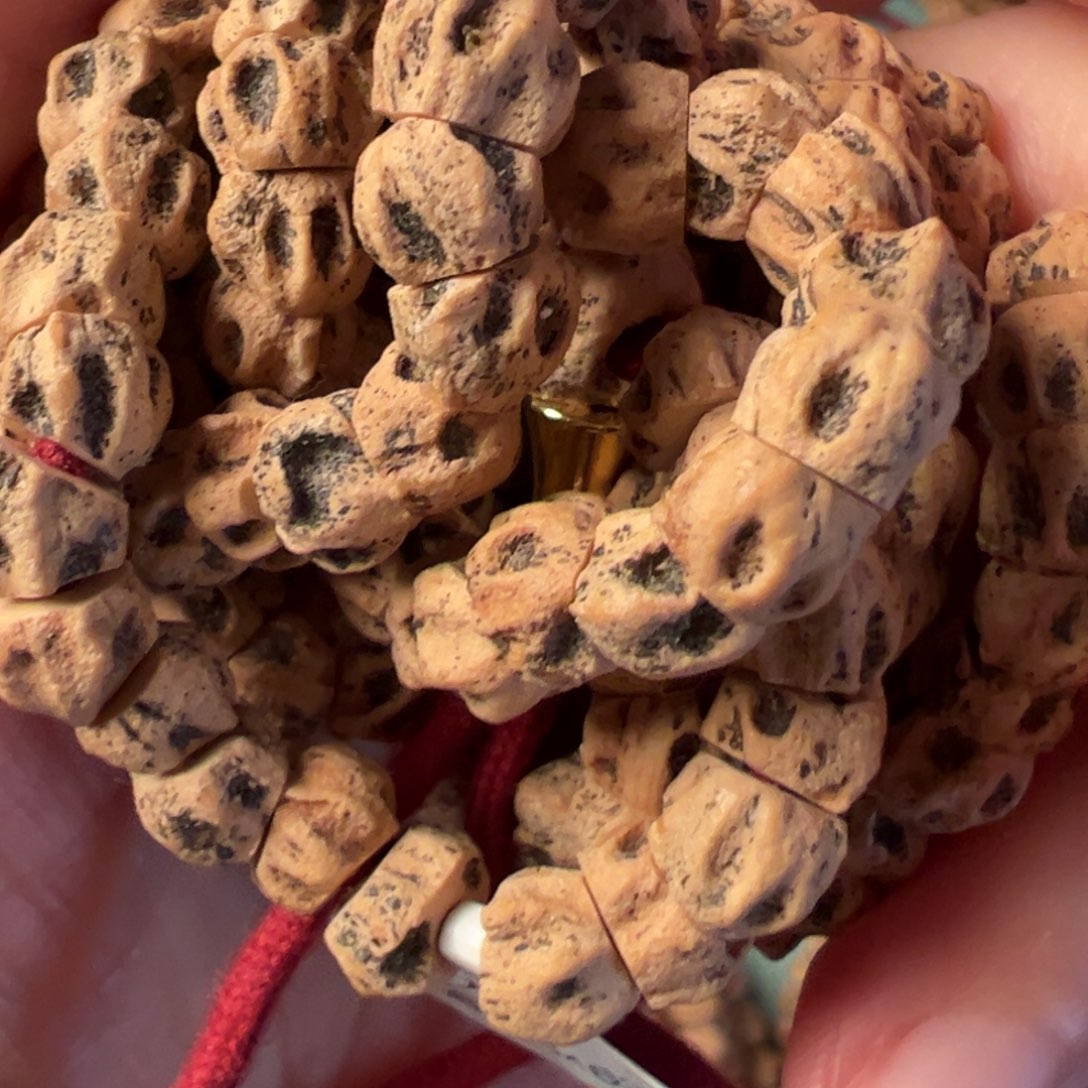 柏香籽/百香籽吊坠F956