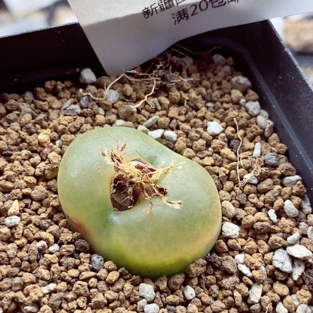 我也是很喜欢这个节目037