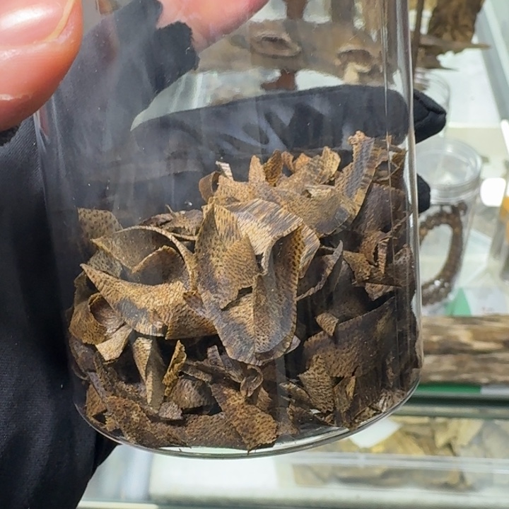 舍***得木海南千里香发一份