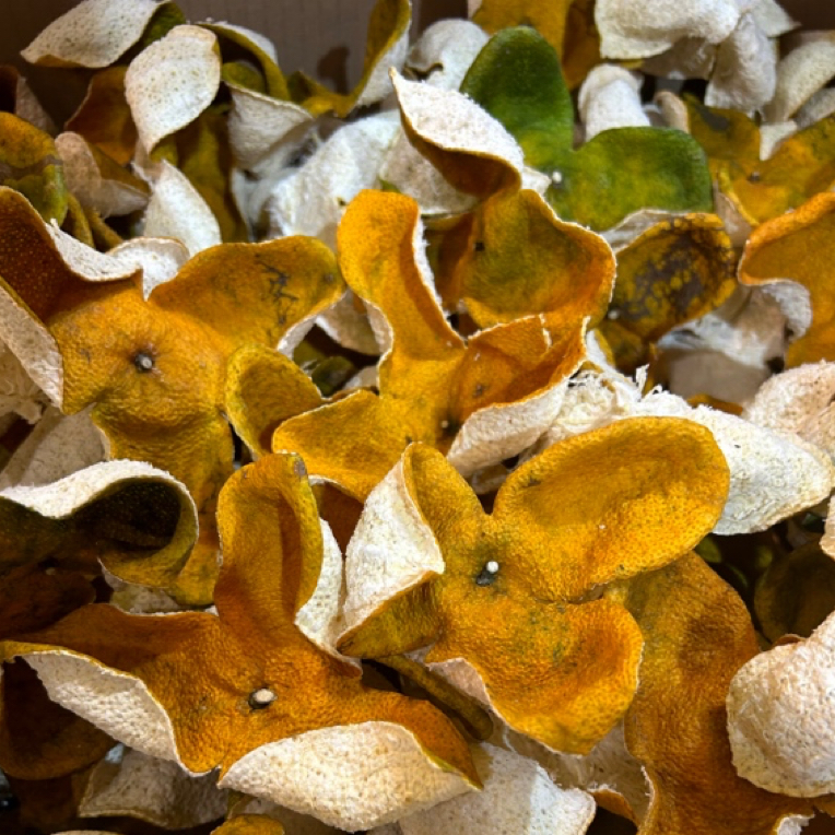 2025年茶坑圈枝大红皮500g