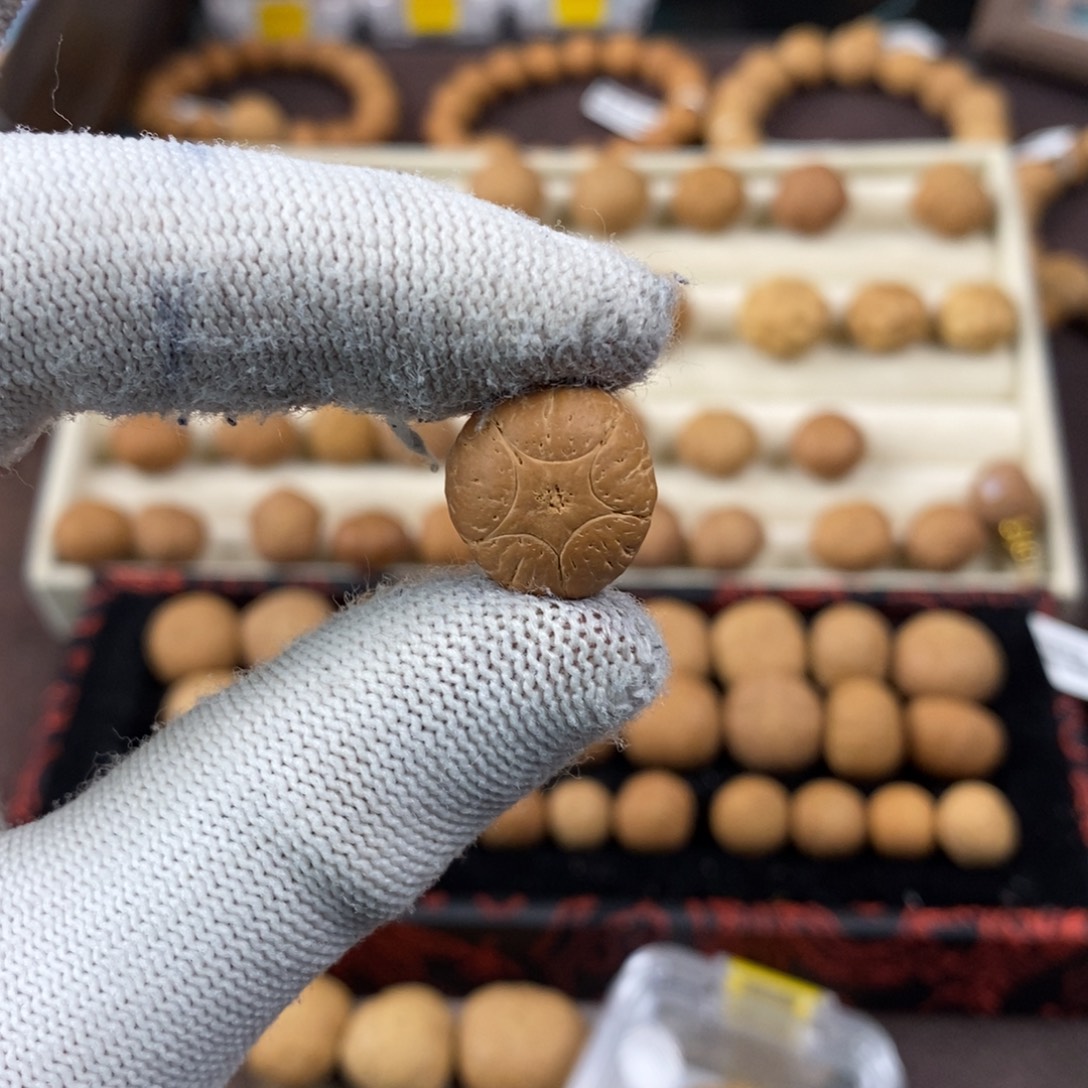 凤眼菩提吊坠15.2五星单颗