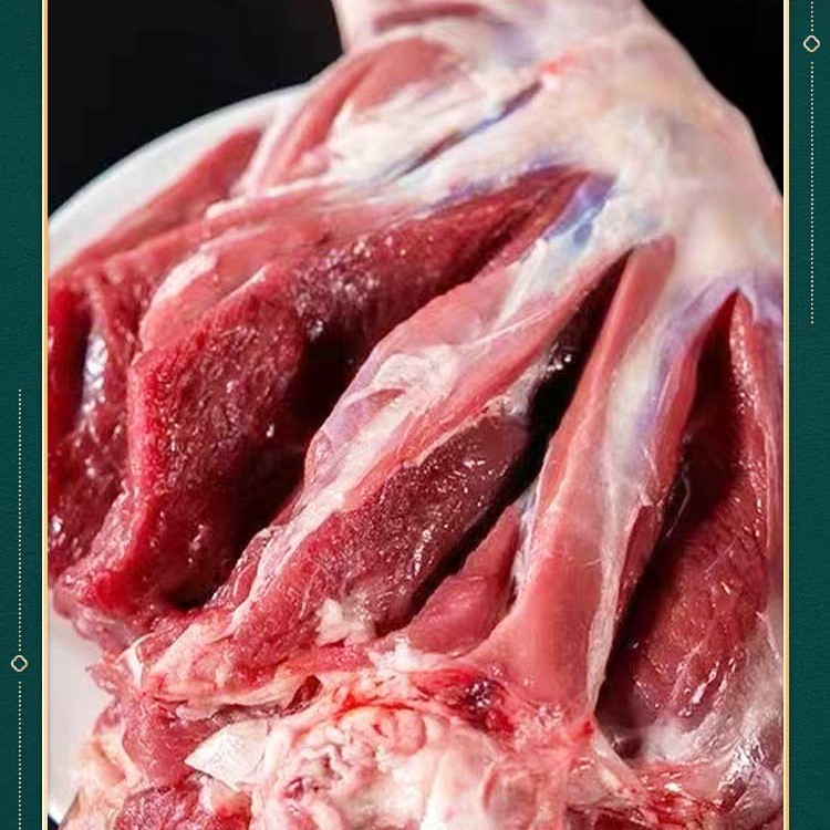 原生态散养藏系羊肉