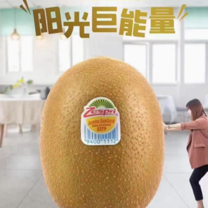 果切新西兰佳沛金果