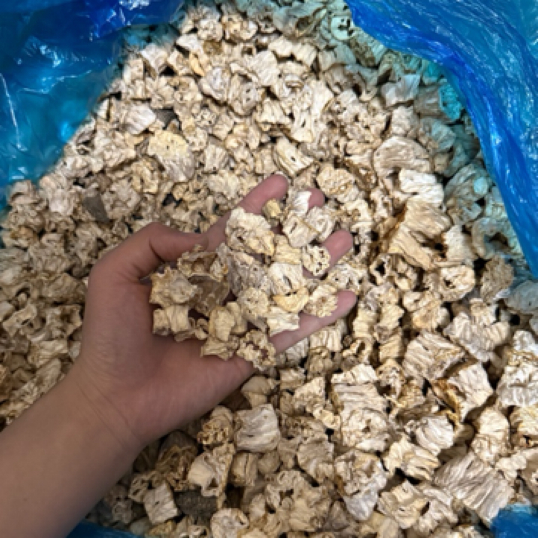 2025头茬羊肚菌菇脚