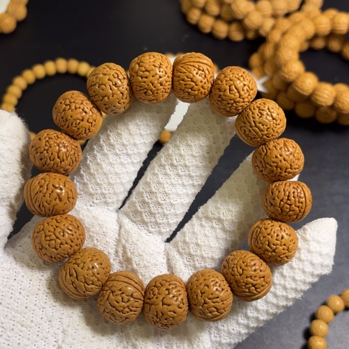 2号19尺寸老树苹果