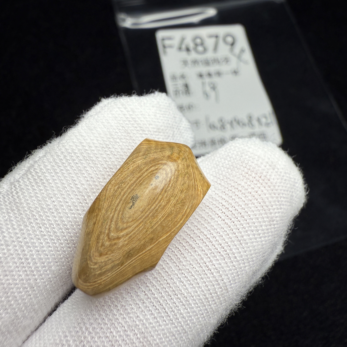F4879猛犸象牙鲨鱼背一体三通尺寸10.8*10.8*21mm咖料特色 特价