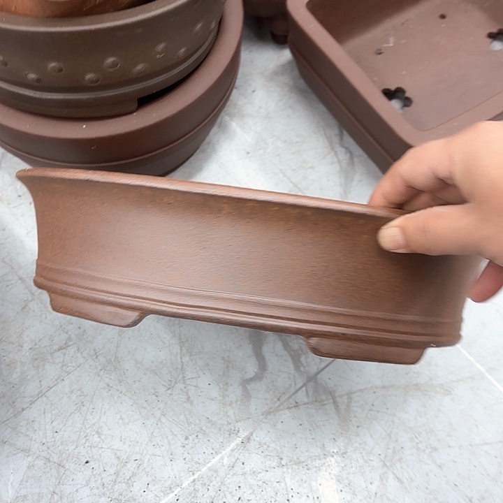 紫砂花盆紫砂的花开了