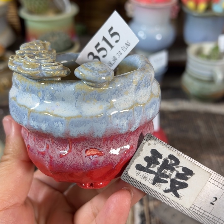 5口未满30运费到付