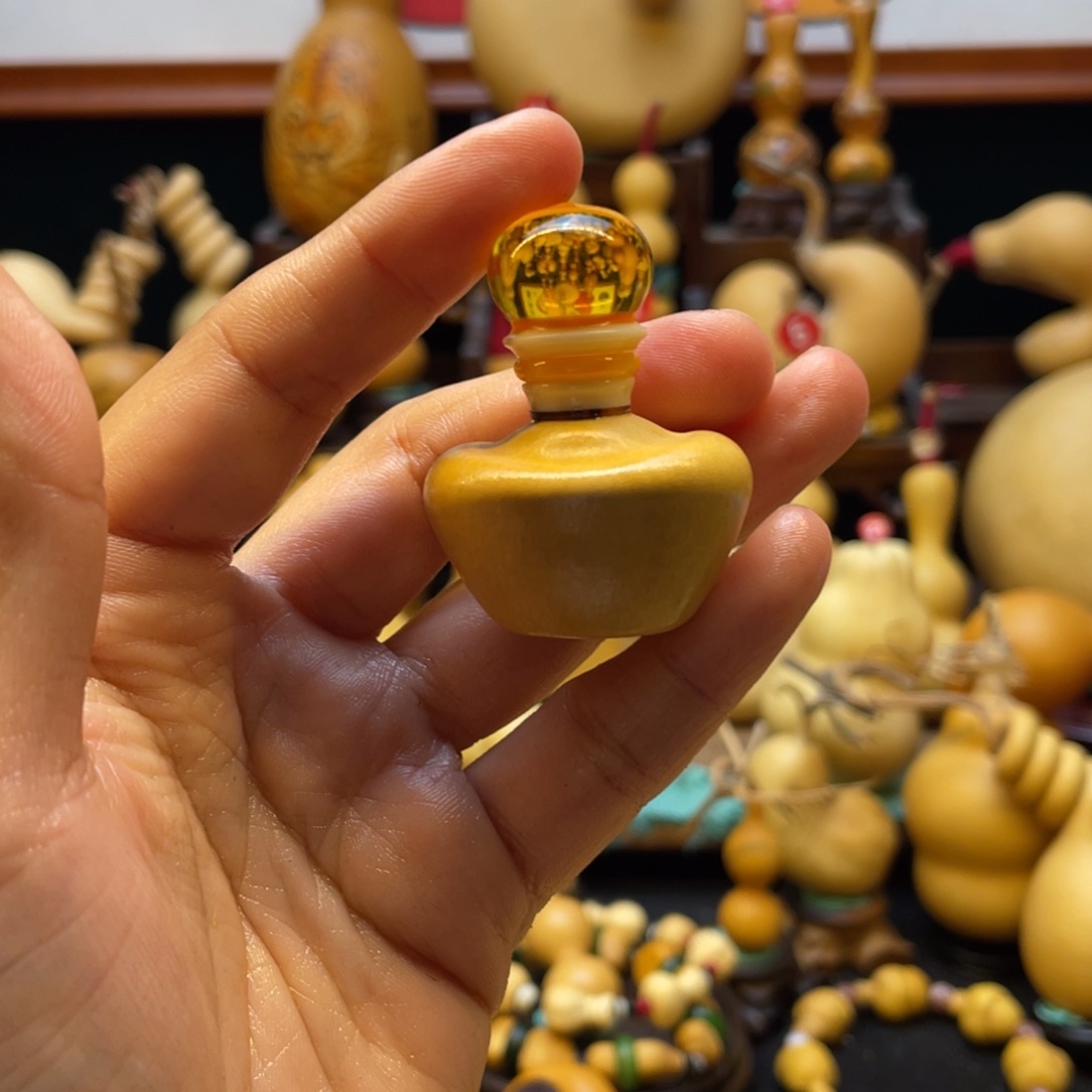 毛*大自然的秘密第十一节的