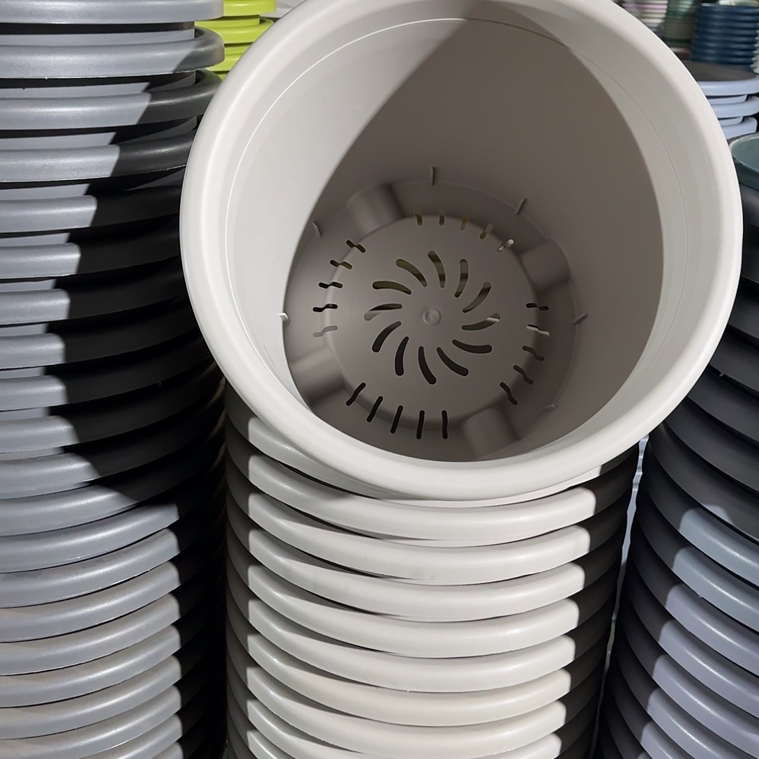 树脂四季9号无托4个灰白微瑕