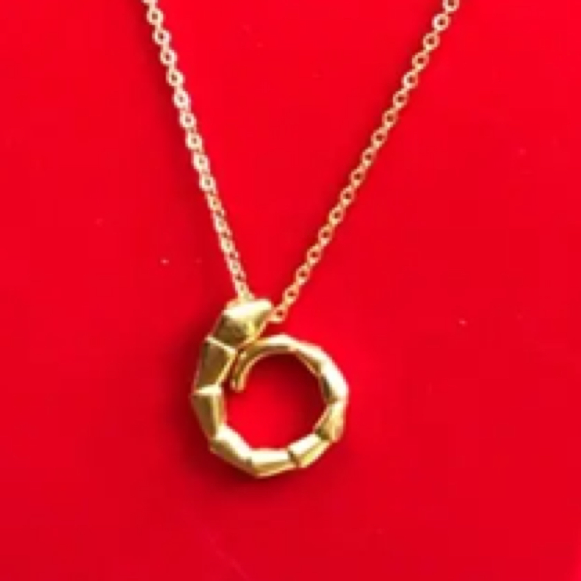 足金9999蛇结项链5g