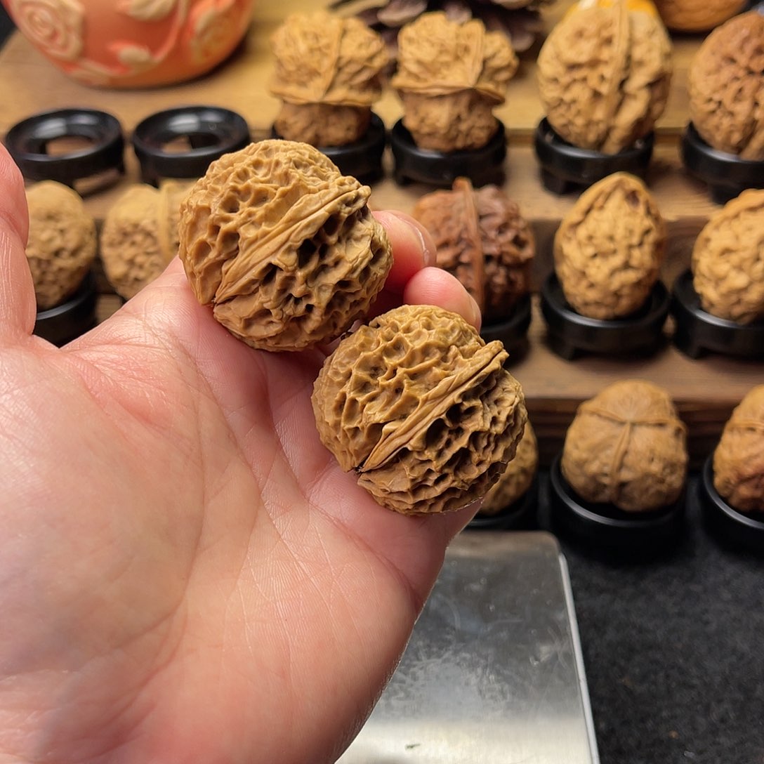 文玩核桃把件珊瑚纹