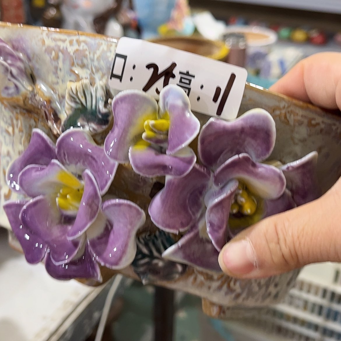 【闪购商品】红陶福利