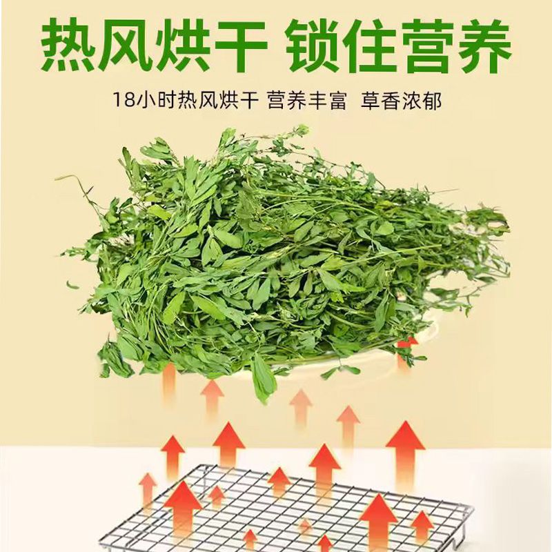 紫花苜蓿草苜蓿草1kg兔粮饲料提摩西草干草兔子宠物兔荷兰猪宠物