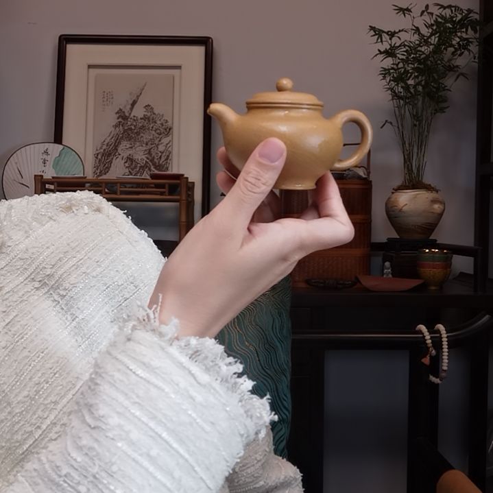 指***待紫砂茶壶掇只壶半手工