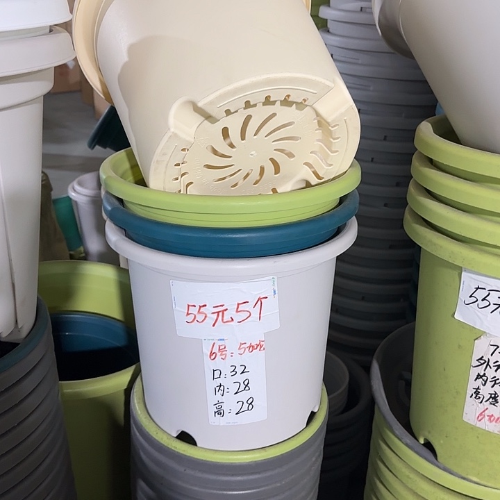 微瑕6#口径32无托果绿10个