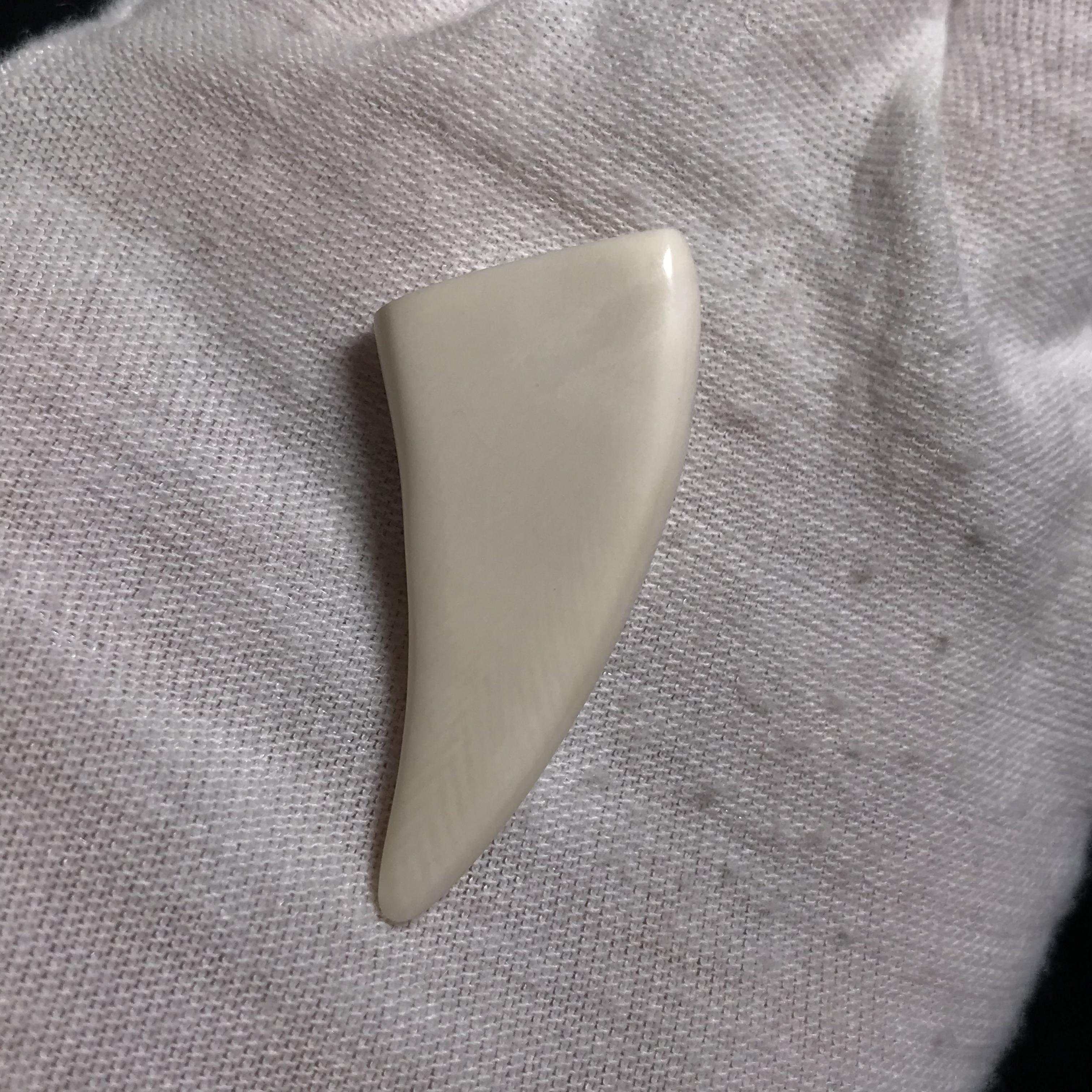 J121722 只做天然猛犸牙 素牙尖 约37*16*8mm 约3.2克