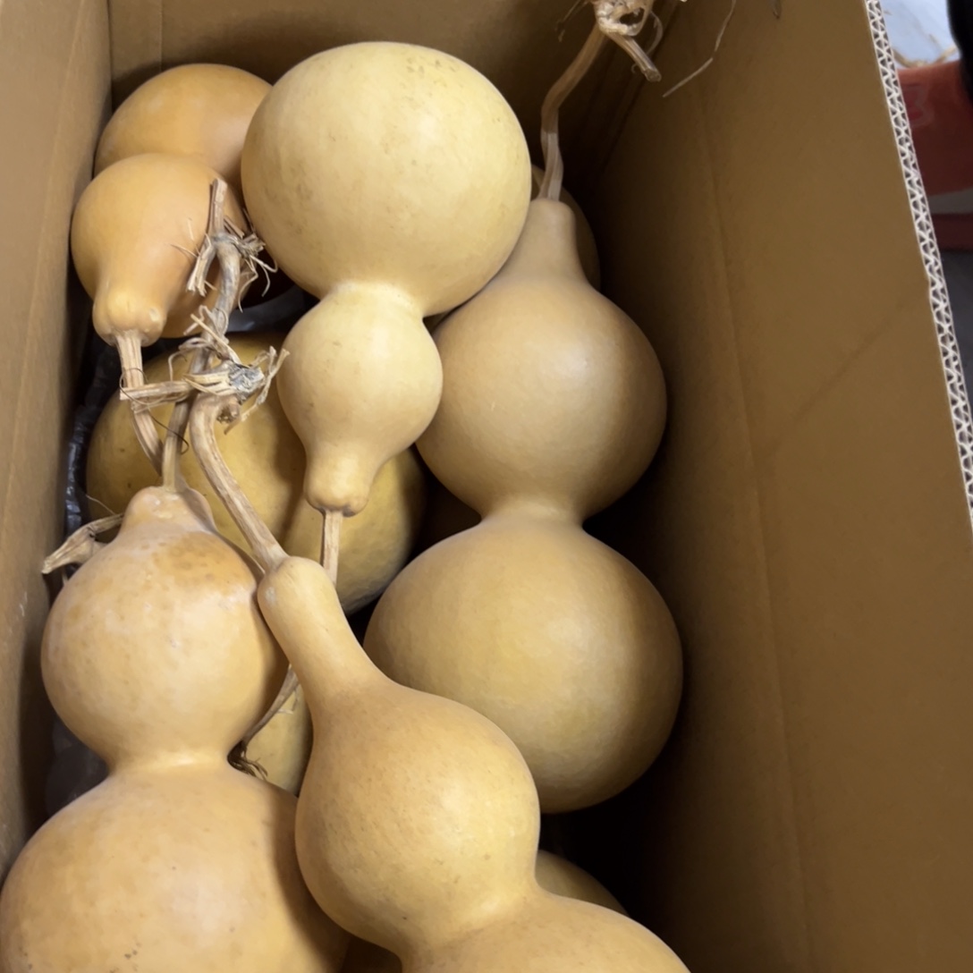 婉***安有机玻璃葫芦葫芦