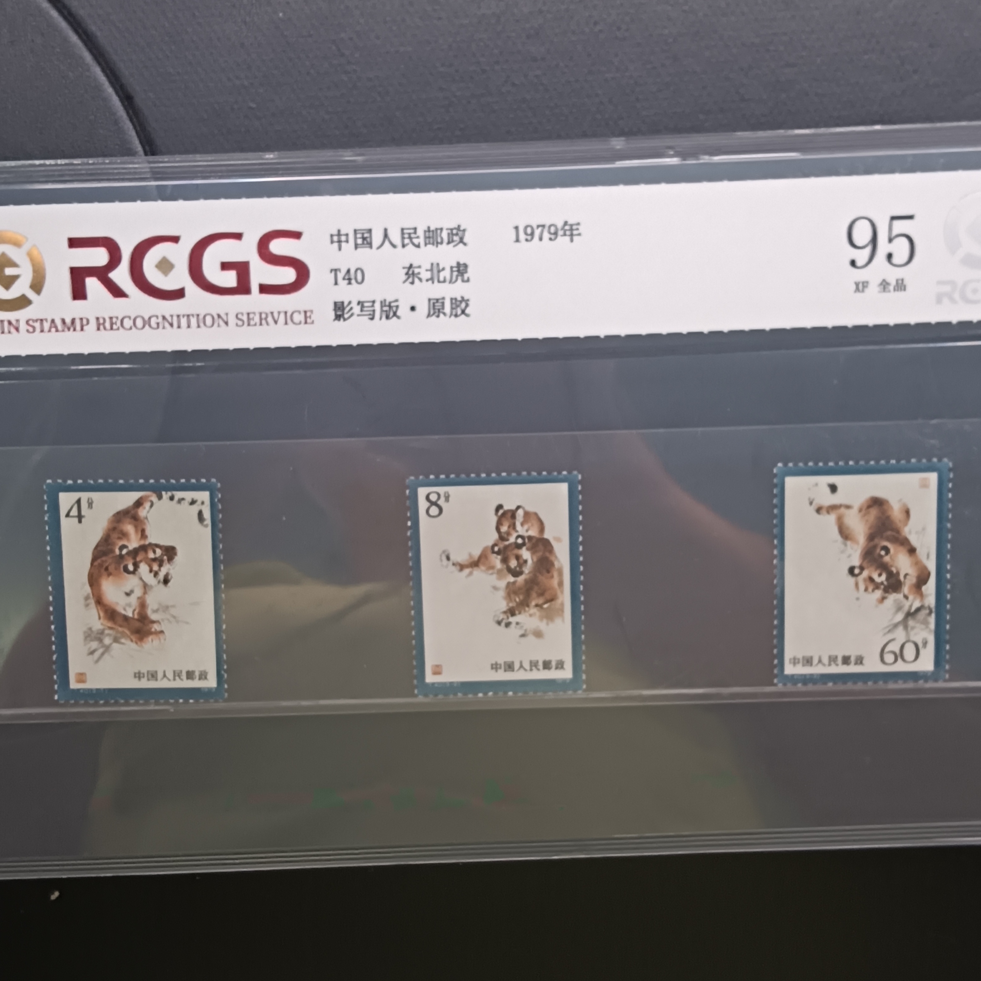 T40东北虎邮票1979年发行95分中钱国信原胶全品