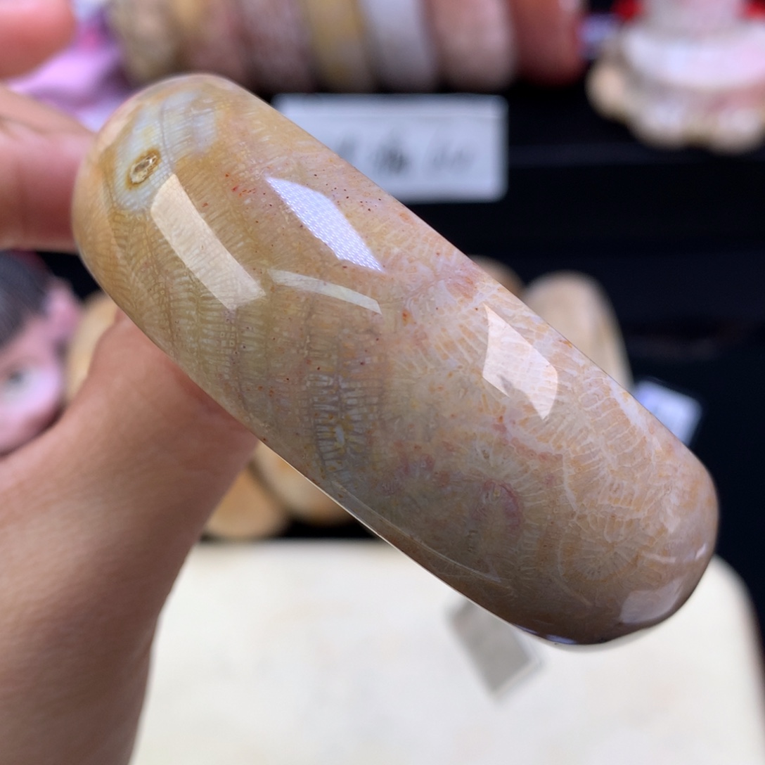 硅化珊瑚（珊瑚玉）未镶嵌颈饰五折手镯56.5圈（13号）