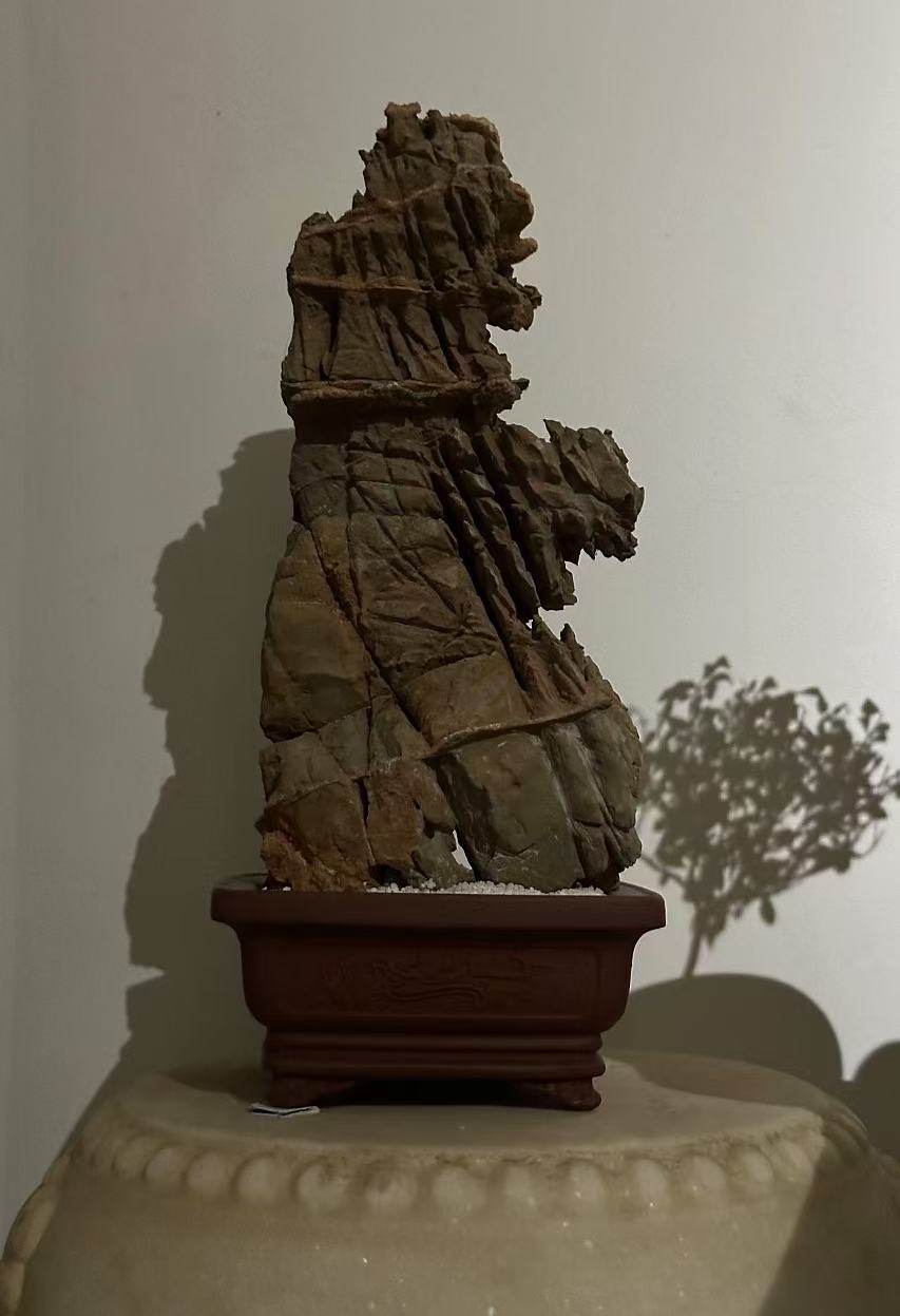 天然奇石，直播间参拍，专用链接。